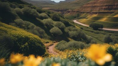 best travel time for vacation in gran canaria nir