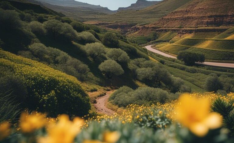 best travel time for vacation in gran canaria nir