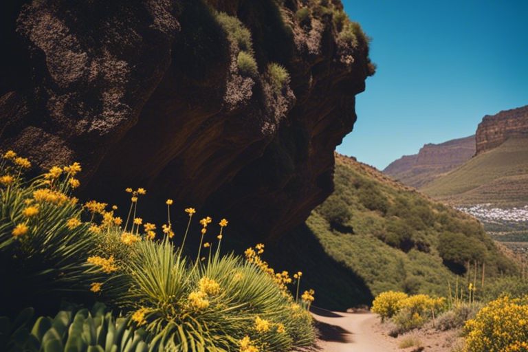 Die beste Reisezeit für Urlaub auf Gran Canaria