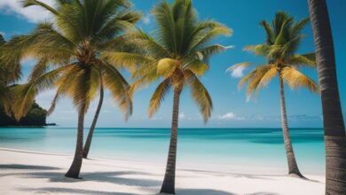 beste reisezeit fur urlaub auf mauritius wjm