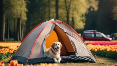 camping mit hund in holland juo