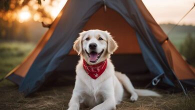 camping mit hund in italien oli