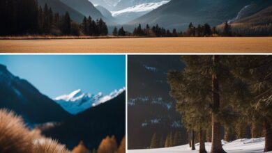 die besten winterurlaubsziele schnee oder strand vwm