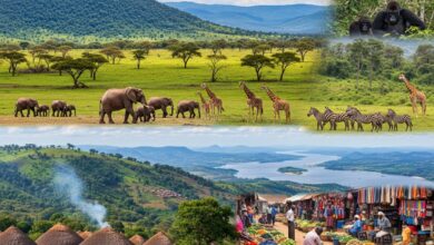 Uganda- und Kenia-Reise zwischen Urwald, Steppe und Safarizauber