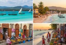 Sansibar im Blick – wo Träume Wirklichkeit werden