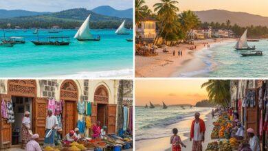 Sansibar im Blick – wo Träume Wirklichkeit werden